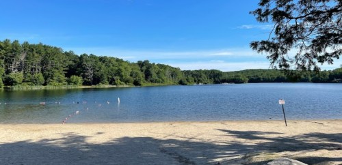 A serene lake surrounded by trees, with a sandy beach and clear blue sky reflecting on the water.