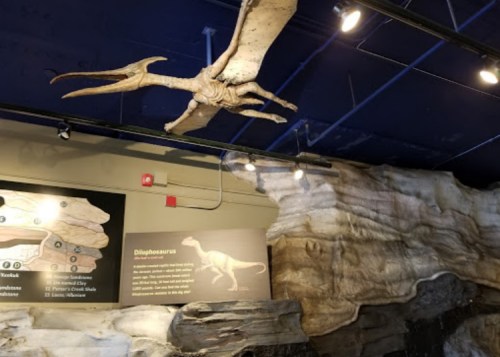 A pterosaur model hangs from the ceiling in a museum, with informational panels about dinosaurs nearby.
