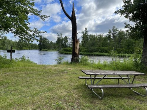 A serene riverside scene with a picnic table, lush greenery, and a partially fallen tree under a cloudy sky.