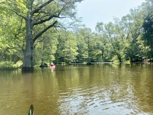 A serene river scene with lush green trees and a kayaker in the distance on calm waters.
