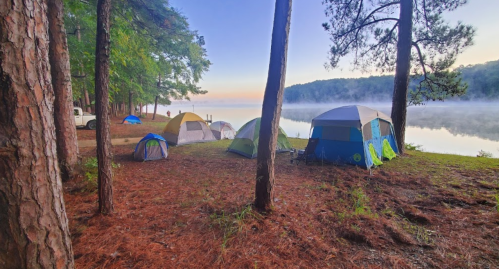 Tents set up by a misty lake surrounded by trees at dawn, creating a serene camping scene.