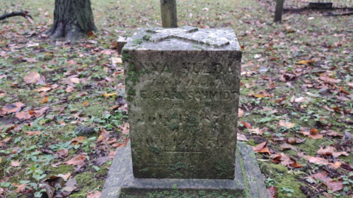 A weathered gravestone covered in moss, partially obscured by fallen leaves in a cemetery.