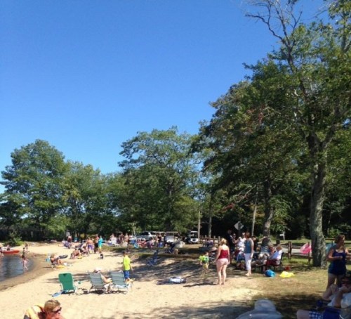 A sunny beach scene with people relaxing, trees in the background, and a clear blue sky.