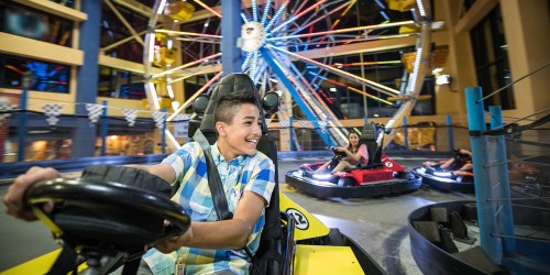 A young boy in a checkered shirt smiles while driving a go-kart, with a ferris wheel in the background.