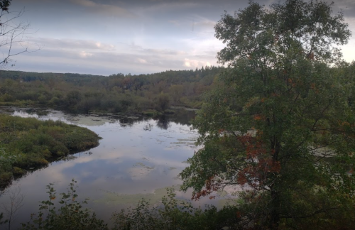A serene river scene surrounded by lush greenery and trees under a cloudy sky.