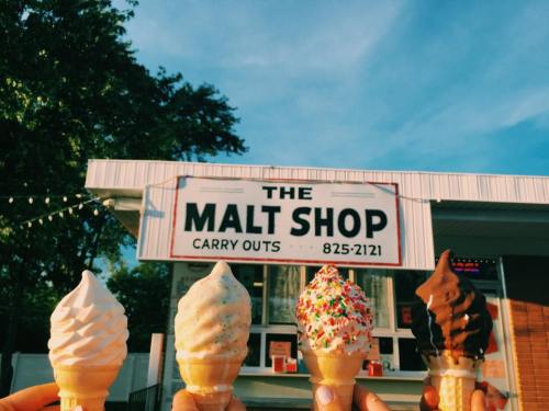 Four ice cream cones in front of "The Malt Shop" sign, showcasing vanilla, sprinkles, and chocolate flavors.