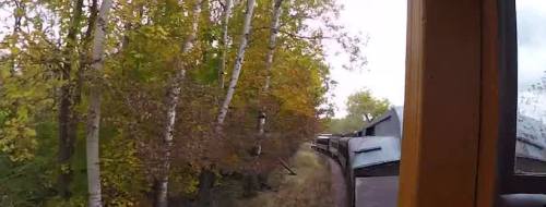 View from a train window showing trees with autumn foliage alongside the tracks.