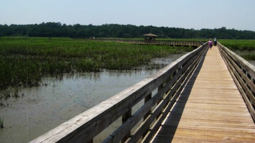 A wooden boardwalk stretches through a marsh, surrounded by green grass and trees under a clear blue sky.