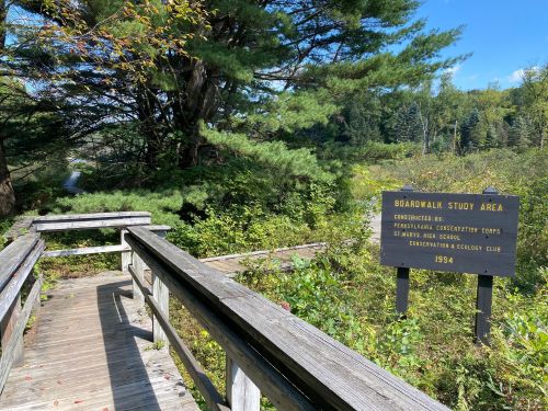 A wooden boardwalk leads to a sign marking the Boardwalk Study Area, surrounded by lush greenery and trees.