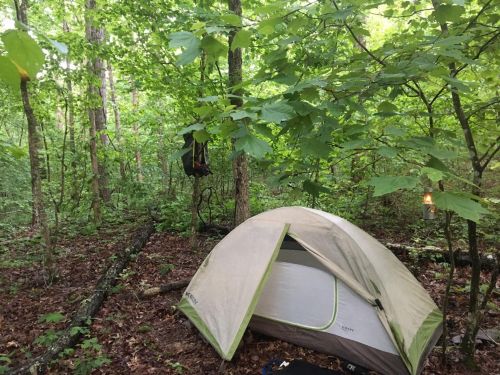 A tent set up in a lush green forest, surrounded by trees and foliage, with a backpack hanging nearby.