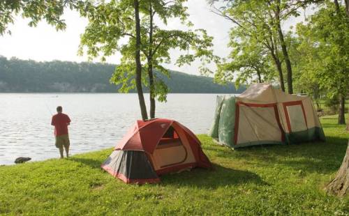 A person fishing by a lake with two tents set up on the grassy shore, surrounded by trees.