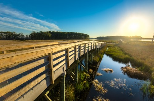 A wooden boardwalk stretches over a marsh, with sunlight reflecting on the water and trees in the background.
