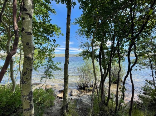 A serene view of a lake framed by trees, with clear blue skies and gentle waves visible in the background.