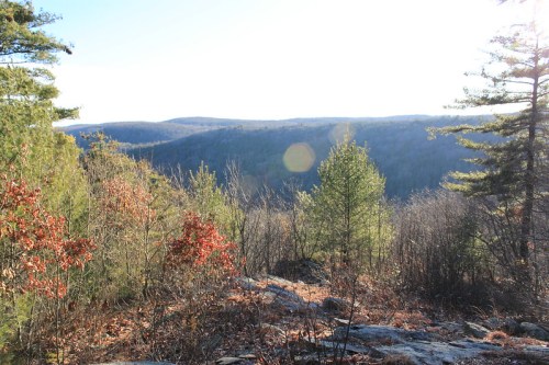 A scenic view of rolling hills and trees under bright sunlight, with rocky foreground and autumn foliage.