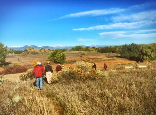 A group of people walking through a grassy field with mountains in the background under a clear blue sky.