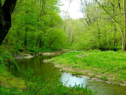 A serene river winding through lush green trees and grass, reflecting the vibrant colors of spring.