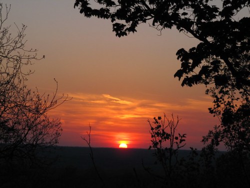 A vibrant sunset with orange and pink hues, framed by silhouetted trees against a clear sky.