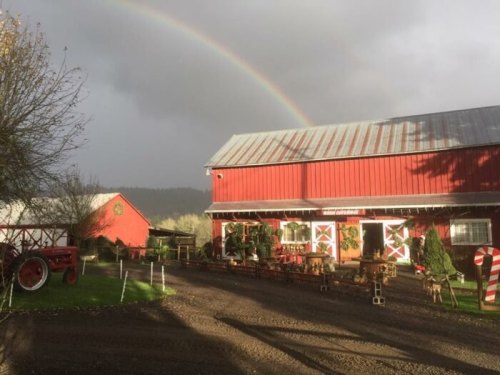A red barn with a rainbow in the background, surrounded by trees and a vintage tractor on a gravel path.