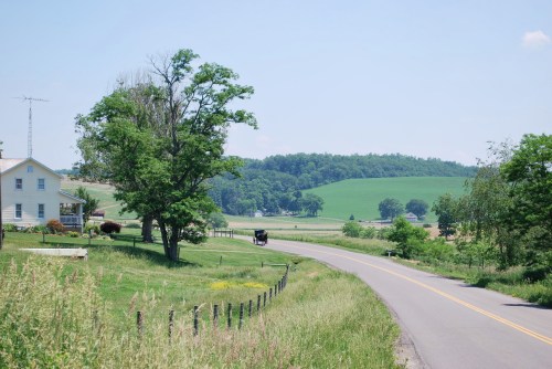 A scenic rural landscape featuring a winding road, green fields, trees, and a distant house under a clear blue sky.