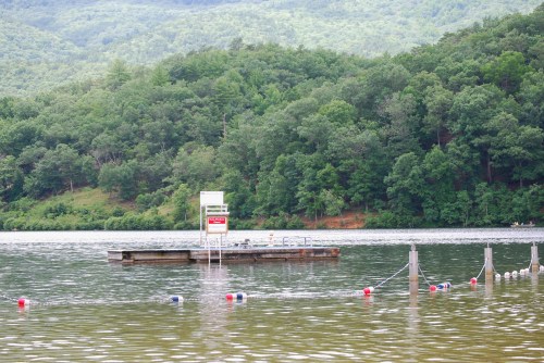 A calm lake scene with a floating dock, surrounded by lush green trees and a buoyed swimming area.