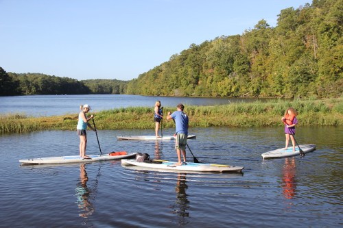 Four people paddleboarding on a calm lake surrounded by lush greenery under a clear blue sky.