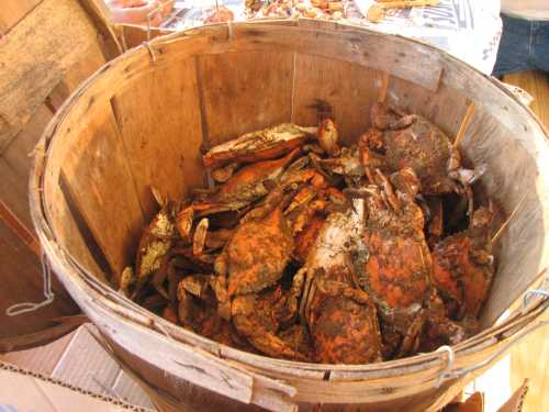 A wooden bucket filled with cooked crabs, showcasing their reddish-brown shells and a rustic setting.