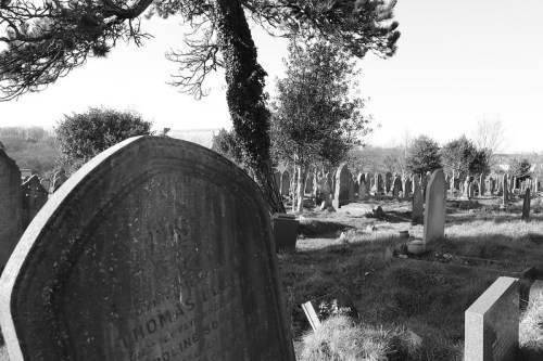 A black and white image of a cemetery with gravestones and trees under a clear sky.