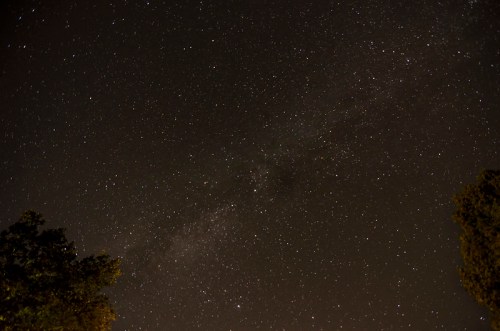 A starry night sky filled with countless stars and a faint Milky Way, framed by silhouettes of trees below.