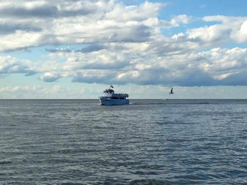A boat sails on calm waters under a cloudy sky, with a bird flying nearby.
