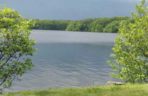 A serene lake surrounded by lush green trees under a cloudy sky.