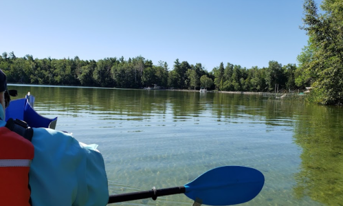 A calm lake scene with clear water, surrounded by trees, viewed from a kayak with a blue paddle in the foreground.