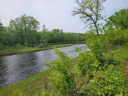 A serene river flows through a lush green landscape, surrounded by trees and grass under a cloudy sky.