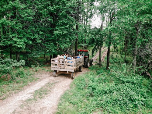 A tractor pulls a wooden wagon filled with people along a dirt path through a lush green forest.