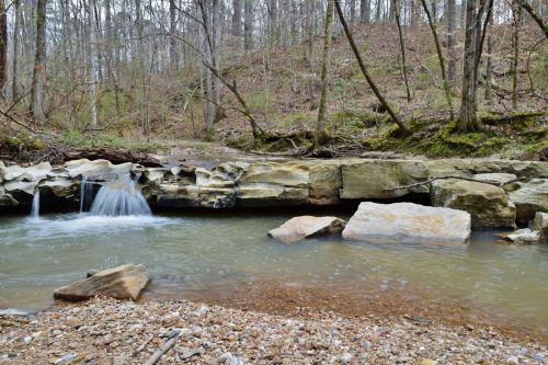 A serene stream flows over rocks in a wooded area, surrounded by trees and a gentle slope in the background.