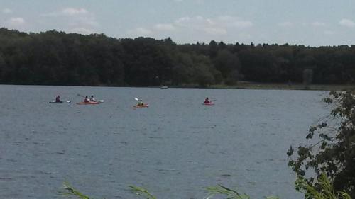 Four kayakers paddle on a calm lake surrounded by trees under a clear blue sky.