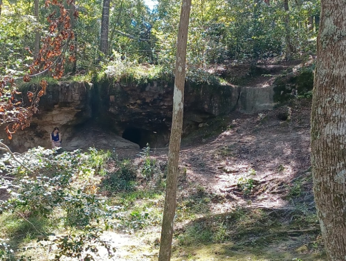 A person stands near a cave entrance in a wooded area, surrounded by trees and natural foliage.