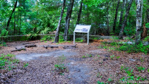 A clearing in a forest with wooden pallets and an informational sign surrounded by trees and foliage.