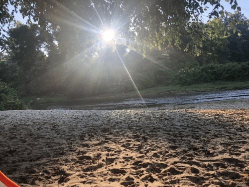 Sunlight filters through trees over a sandy riverbank, creating a serene and tranquil outdoor scene.