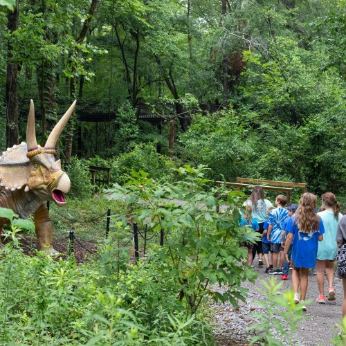 A group of children walks along a path in a lush forest, passing a dinosaur statue among the greenery.