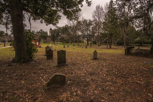 A serene graveyard with weathered tombstones surrounded by trees and a cloudy sky.