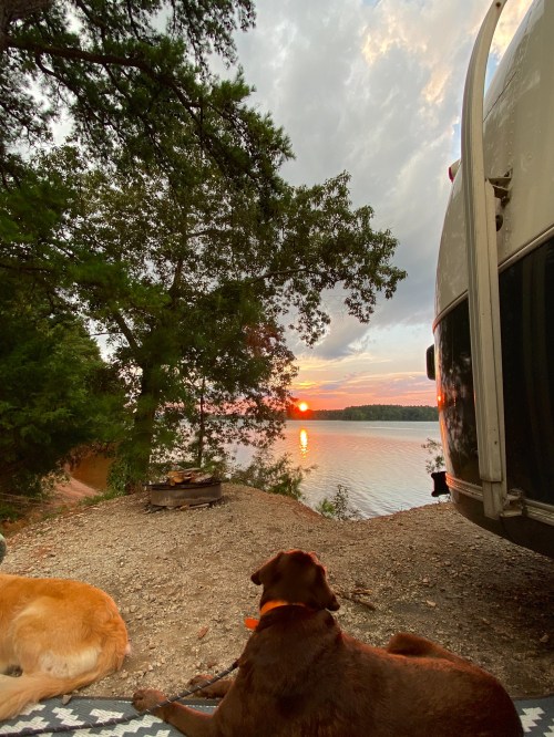 A serene lakeside scene at sunset, with two dogs resting near a camper and trees framing the view.