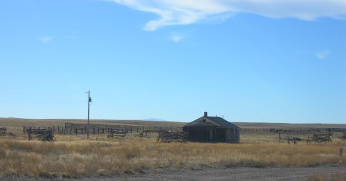 A solitary, weathered cabin stands in a vast, grassy landscape under a clear blue sky, surrounded by wooden fences.