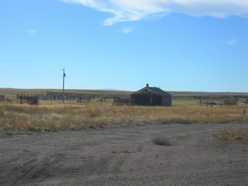 A solitary, weathered house stands in a vast, grassy landscape under a clear blue sky, surrounded by wooden fences.