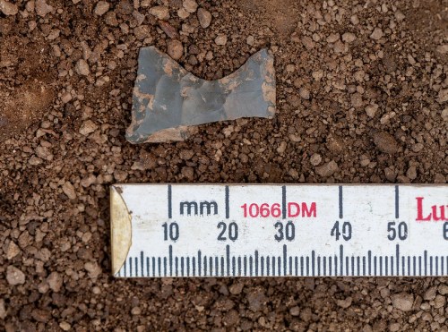 A piece of glass lies on brown soil next to a measuring ruler, indicating its size.