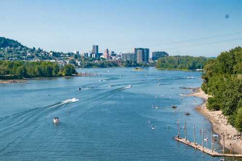 A scenic view of a river with boats, a sandy shore, and a city skyline in the background under a clear blue sky.