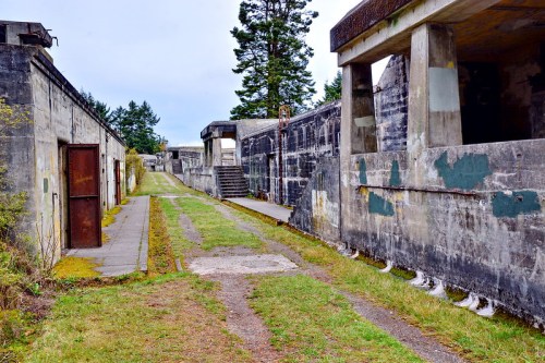 Abandoned military structure with concrete walls, overgrown grass, and a pathway leading through the site.