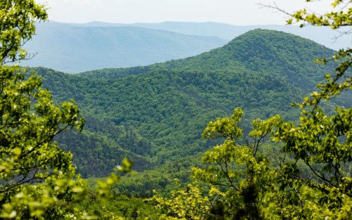 Lush green mountains stretch across the horizon under a clear sky, framed by vibrant foliage in the foreground.