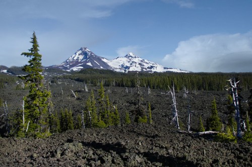 A volcanic landscape with snow-capped mountains in the background and a foreground of rocky terrain and sparse trees.