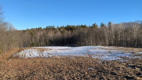 A snowy field bordered by trees under a clear blue sky, with patches of grass visible in the foreground.