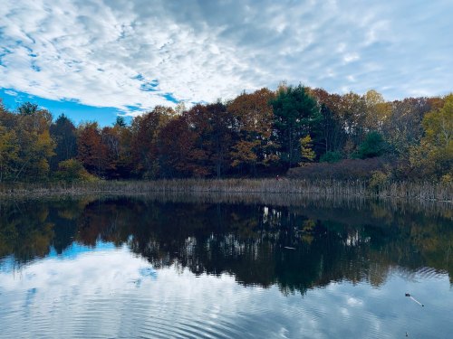 A serene lake reflecting colorful autumn trees under a cloudy sky.